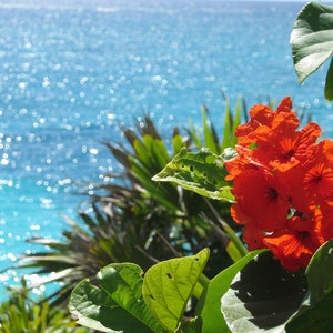 Ocean Breeze ~ Be Swept Away To the Coast with the Soft and Fresh Scent of Summer Blooms and Refreshing Seaspray.