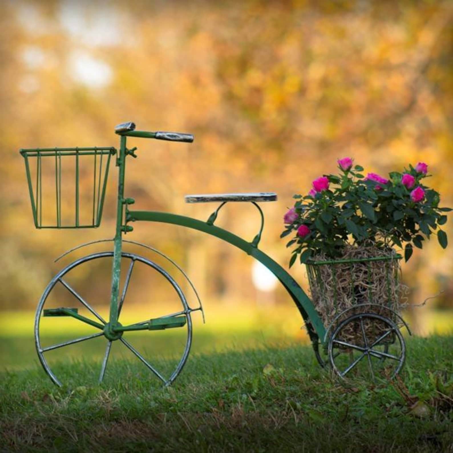 Tricycle plant stand Etsy