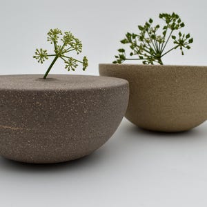 May include: Two contemporary ceramic bowls in brown and beige, each with a sprig of green foliage. The bowls have a minimalist design, ideal for displaying small plants or flowers. The bowls are measured in centimetres.