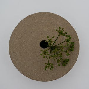 May include: A circular, beige ceramic vase with a single hole and a sprig of green plant. The vase has a textured surface and is set against a white background. The design is minimalist and modern.