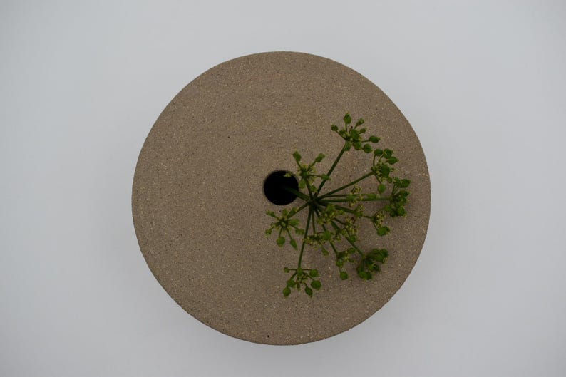 May include: A circular, beige ceramic vase with a single hole and a sprig of green plant. The vase has a textured surface and is set against a white background. The design is minimalist and modern.