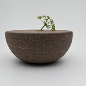 May include: A dark brown, semi-spherical ceramic vase with a small opening at the top. A sprig of green, delicate flowers is placed in the opening. The vase has a speckled texture and a minimalist design.