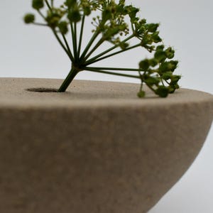 May include: A beige ceramic vase with a rounded shape and a small hole at the top, holding a sprig of green flowers. The vase has a textured surface and a minimalist design. The background is plain white.