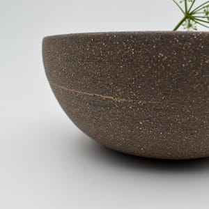 May include: A dark brown, speckled ceramic bowl with a rounded form. A thin, lighter-coloured line encircles the bowl. A small sprig of green plant material extends from the bowl's rim. The bowl is set against a white background.