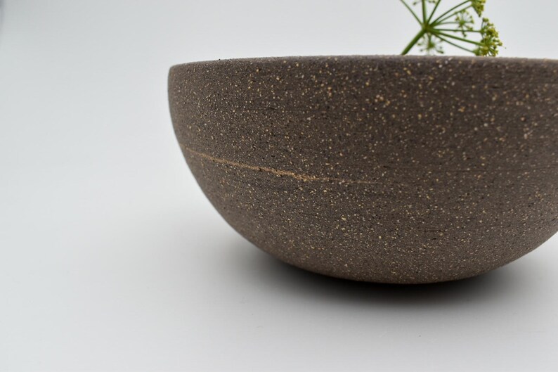 May include: A dark brown, speckled ceramic bowl with a rounded form. A thin, lighter-coloured line encircles the bowl. A small sprig of green plant material extends from the bowl's rim. The bowl is set against a white background.