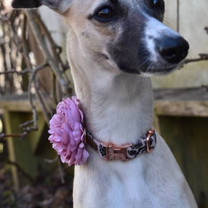 Large flower for dog or cat collar, Lavender Rose Pet Collar Ornament, slide on accessory, Pet neckwear, Pet Accessory - CHOOSE COLOR