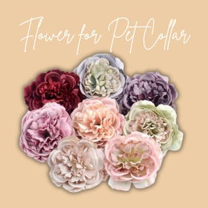 Flower for Pet collar, Dog floral attachment, Cat collar flower, Large flower for cats, slide on accessory, Pet floral Accessories