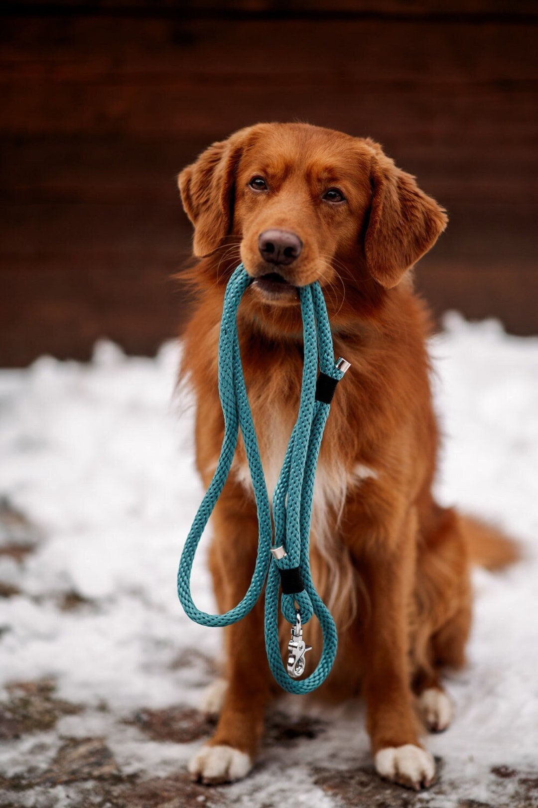 Fashion Dog Leash Boy Blue Rope Dog Leash for Walking Abd Training