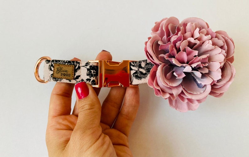 Dog Collar Flower Attachment Removable Pet Collar Accessory Etsy
