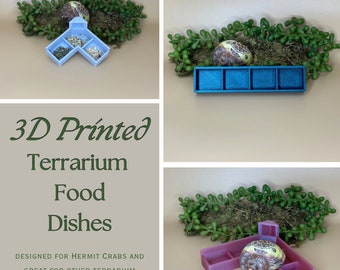 Hermit Crab Food Dishes
