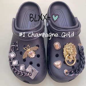 Punk Clog Charms 6-Piece Set with Chain, Lion Head Cool Bee Gemstone Accessories Shoes Decoration Gifts for Men Women Girls Boys DIY Charms