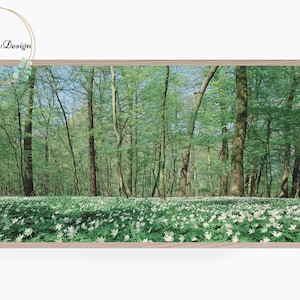 Samsung Frame TV Art, Spring Forest, Greenery, Landscape, Frame TV Art, Summer Decor, Digital Art for Frame TV