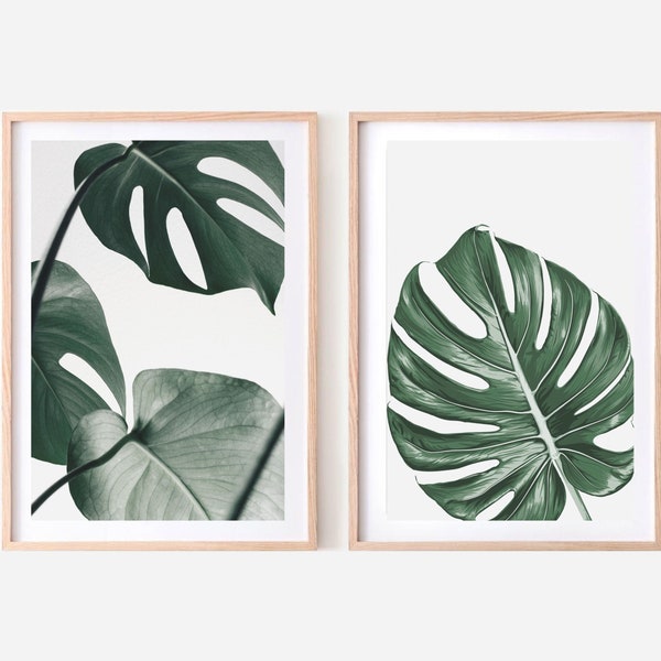 Monstera Wall Art Etsy