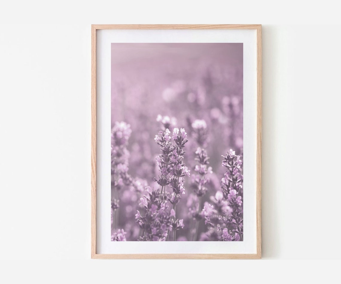 Lavender wall art set of 3 prints purple wildflower print set | Etsy