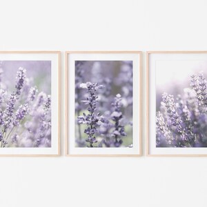 Puede incluir: Tres impresiones enmarcadas de flores de lavanda en tonos de morado y blanco. Las impresiones est&aacute;n dispuestas en una fila, con la impresi&oacute;n del medio ligeramente m&aacute;s grande que las otras dos.