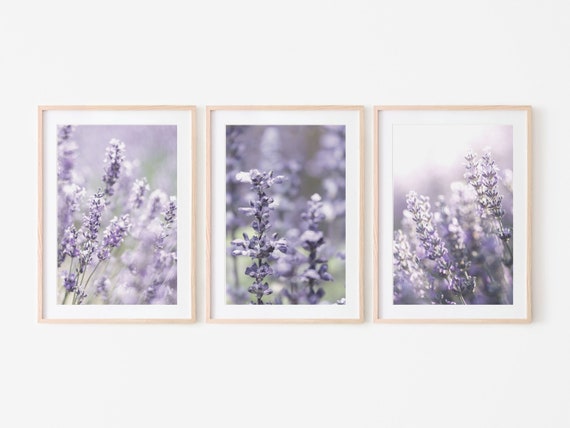 Lavender wall art set of 3 prints, purple wildflower print set of 3, printable botanical flower wall art | DIGITAL DOWNLOAD