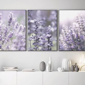 Puede incluir: Un conjunto de tres impresiones enmarcadas con fotograf&iacute;as de primer plano de flores de lavanda p&uacute;rpura en un campo.
