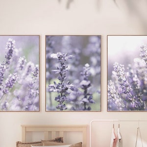 Puede incluir: Tres impresiones enmarcadas de flores de lavanda en tonos de morado y blanco. Las impresiones est&aacute;n dispuestas en una fila en una pared blanca.