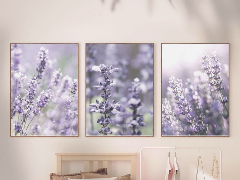Puede incluir: Tres impresiones enmarcadas de flores de lavanda en tonos de morado y blanco. Las impresiones est&aacute;n dispuestas en una fila en una pared blanca.