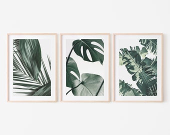 Tropische blad Wall Art Prints Set van 3, Botanische Wall Art, Tropische Wall Gallery Set, 3-delige kunst aan de muur Monstera Leaf, Banana Leaf prints