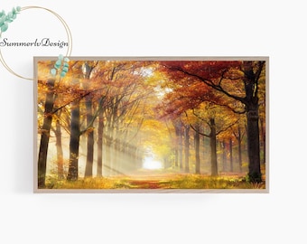 Può includere: Stampa incorniciata di un sentiero nella foresta in autunno. L'immagine presenta un sentiero fiancheggiato da alberi alti con foglie rosse, arancioni e gialle vibranti. La luce del sole filtra attraverso gli alberi, creando una scena luminosa e calda.