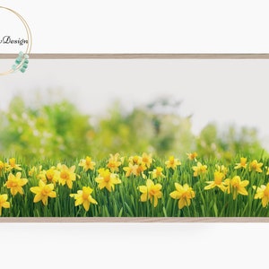 Samsung Frame TV Art of Spring Wildflowers, Flowers TV Art, Spring Floral Digital Art, Frame TV Art, Digital Art for Frame tv