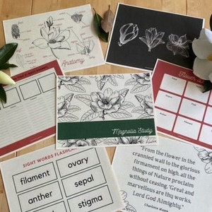 May include: A set of printable educational worksheets for studying the magnolia flower. The worksheets include a flower anatomy diagram, a magnolia study guide, a flower parts label sheet, a sight words flashcard, and a quote about nature.