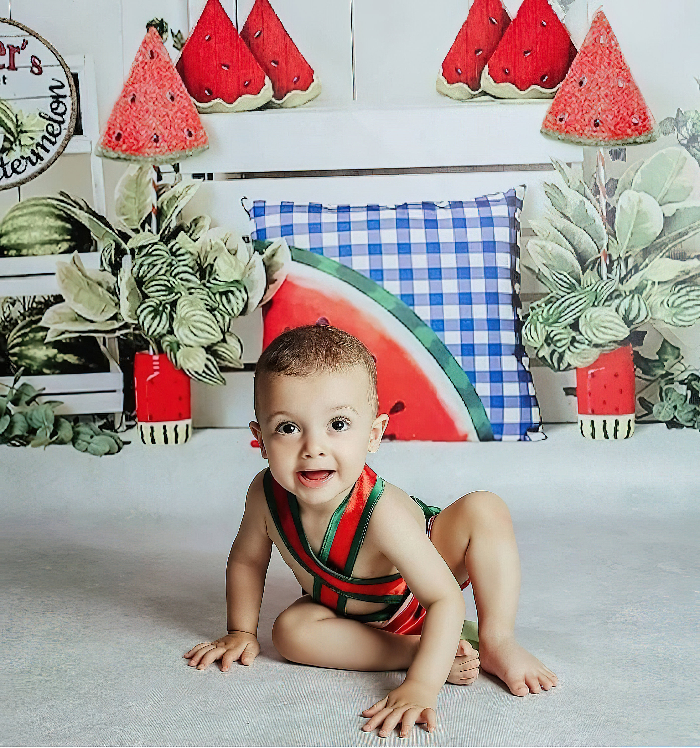 Watermelon Costume/Halloween Costume/Baby Suit/Newborn Etsy