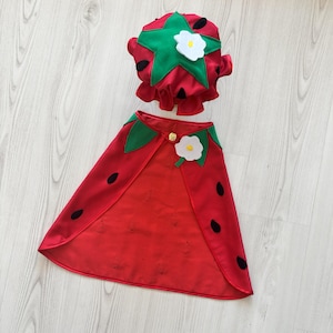 Cloak Strawberry Costume for Kids-Toddler Fruit Dress with Hat - Girls Berry Birthday Outfit - Red Strawberry Skirt Set - Halloween Costume