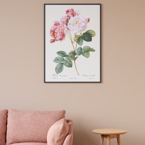 Vintage Rose Print Botanical Poster, Flower Art, Botanical Wall Art, Kitchen Decor, Rosa damascena,Pierre-Joseph Redoute Art image 3