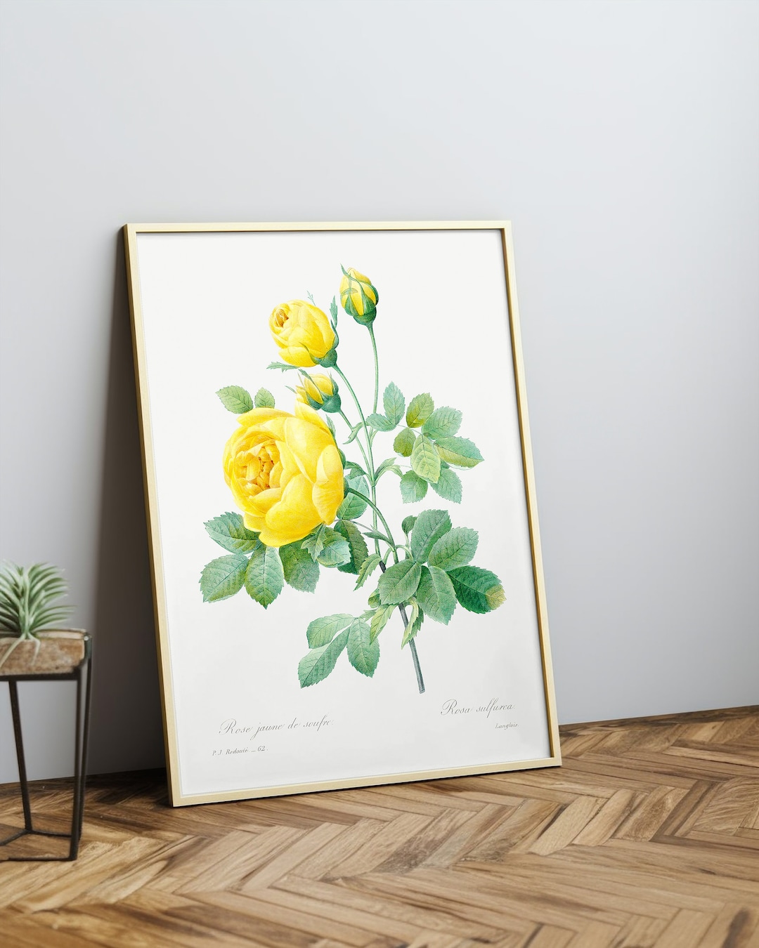 Yellow Roses To Print Yellow Rose Print | Flower Prints, Vintage Rose Poster, Kitchen Wall ...