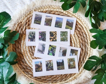 40 Stickers, Glitter Sticker Sheets, Glitter Polaroid Stickers, Photo Stickers, Botanical Photo Stickers,