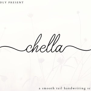 Monoline Long tail Font-Skripte, handgeschriebene Schrift, Schrift für Cricut Canva Precreate, Hochzeitsschriftarten, Schrift mit Tails, Schrift-Swashes, vielseitige Schrift