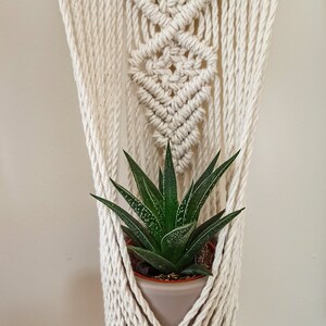 Puede incluir: Colgador de plantas de macram&eacute; color crema con un dise&ntilde;o geom&eacute;trico, que sostiene una suculenta en maceta. La planta tiene hojas de color verde oscuro con manchas blancas. El colgador est&aacute; suspendido de una clavija de madera.