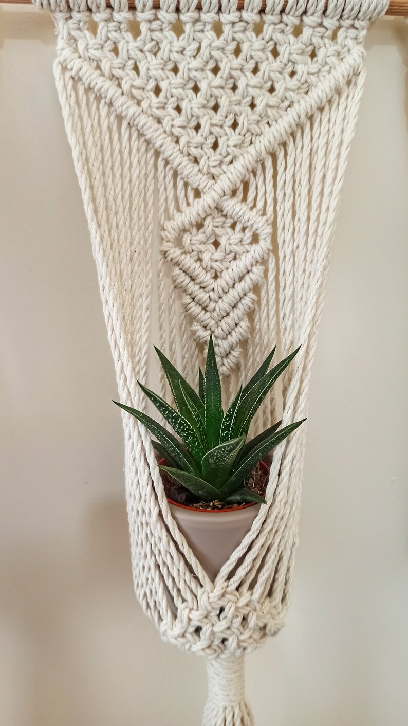 Puede incluir: Colgador de plantas de macram&eacute; color crema con un dise&ntilde;o geom&eacute;trico, que sostiene una suculenta en maceta. La planta tiene hojas de color verde oscuro con manchas blancas. El colgador est&aacute; suspendido de una clavija de madera.