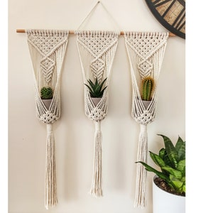 Puede incluir: Tres colgadores de plantas de macram&eacute; blanquecino suspendidos de una barra de madera. Cada colgador sostiene una peque&ntilde;a planta en maceta: un cactus, una suculenta y otro cactus. Los colgadores tienen un dise&ntilde;o geom&eacute;trico y largas borlas.