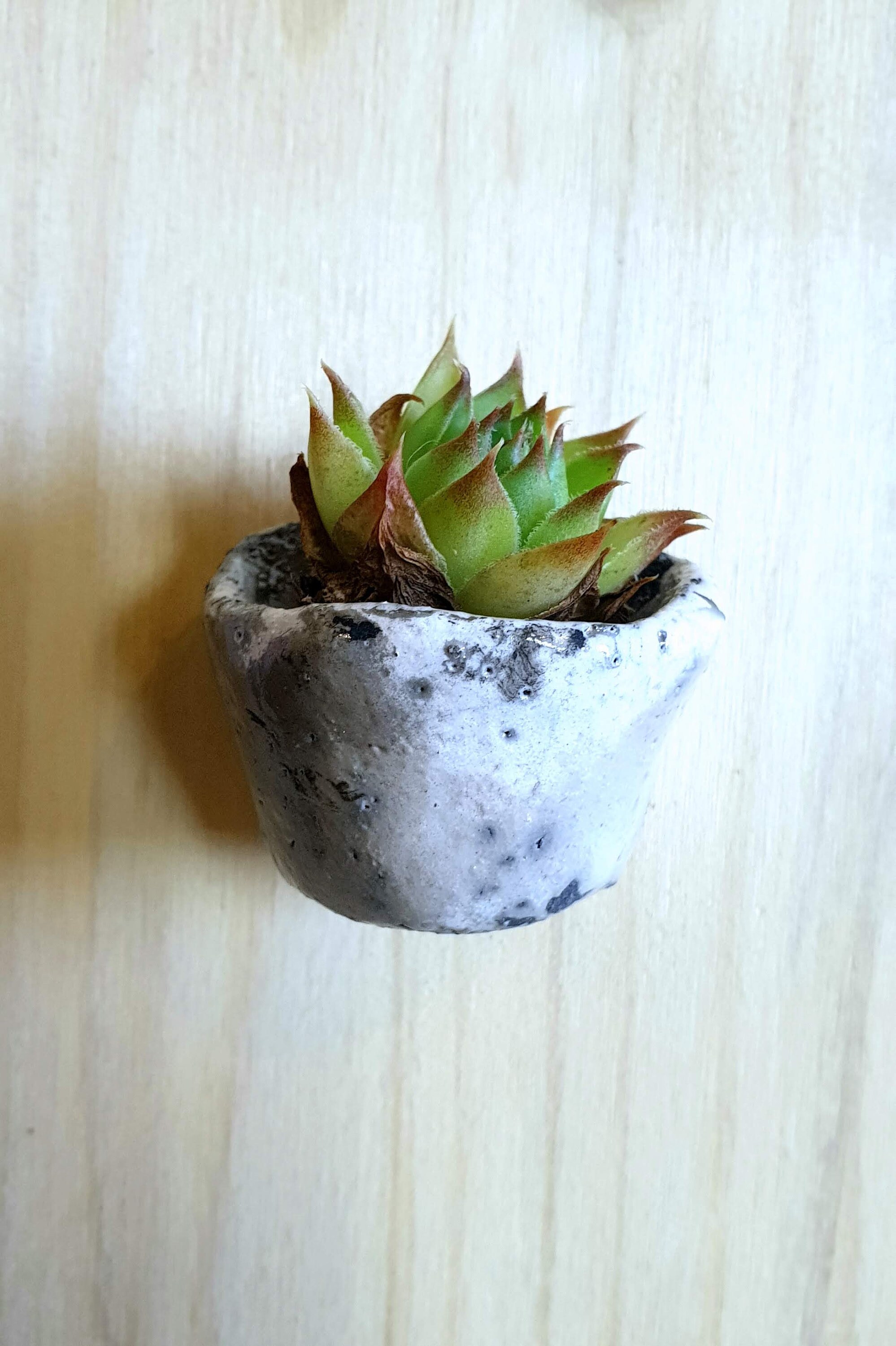 Mini-Pot Mural Raku