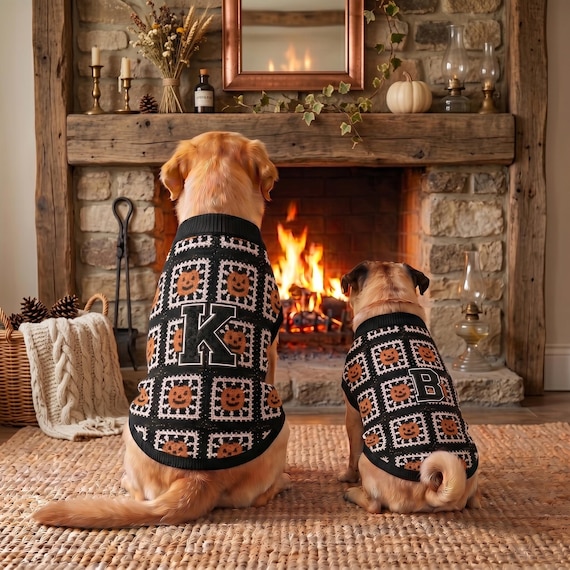 Matching Halloween Dog Sweater Set | Monogram Pumpkin Granny Square Unisex Knit | Dog Mom & Owner Gift
