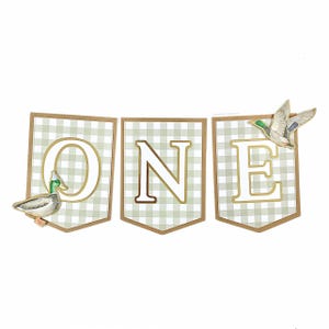 Mallard Duck ONE Banner, Banner for High Chair, First Birthday, Birthday Banner, 1st Birthday, Banner for First Year Birthday