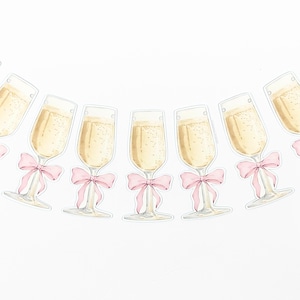 Champagne with Pink Bow Garland, Paper Banner, Party Decorations
