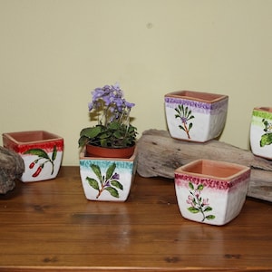 Italian Ceramic Terracotta Galestro and Ceramic Vases set of 5 pieces Aromatic Herbs pattern