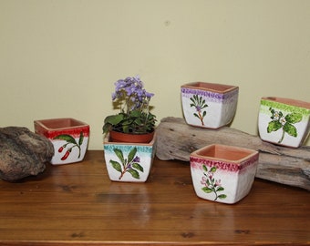 Juego de 5 jarrones italianos de terracota y cerámica hechos a mano – Hierbas aromáticas – Cerámica Toscana Galestro