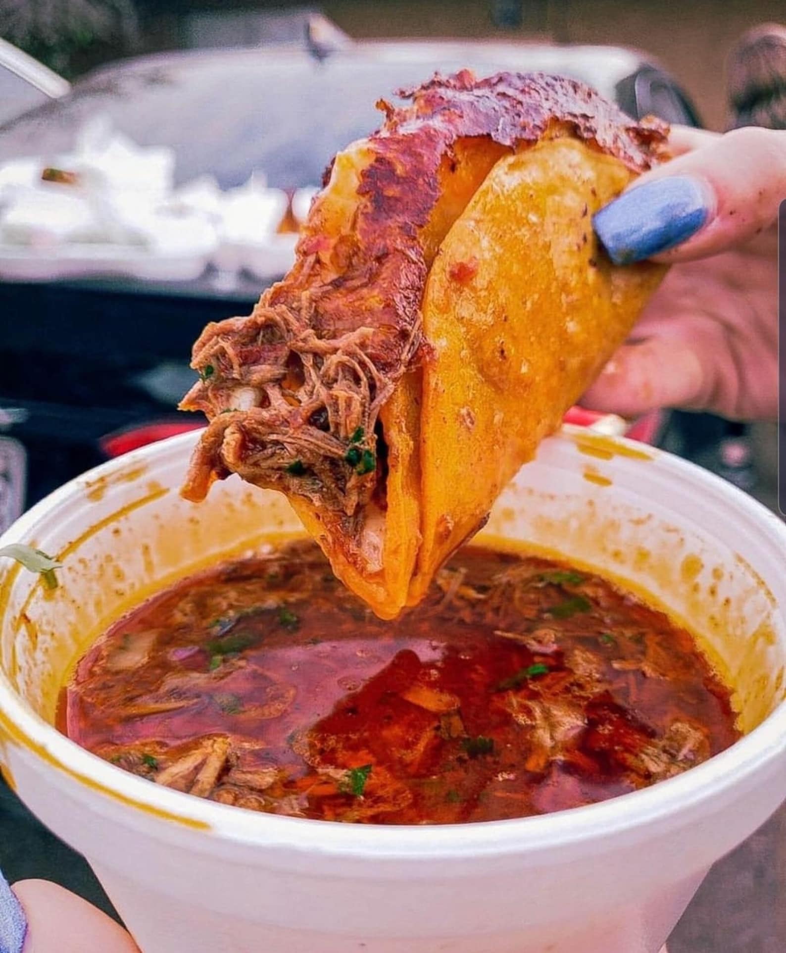 Birria Adobo marinade sauce Chili paste delicious authentic Etsy