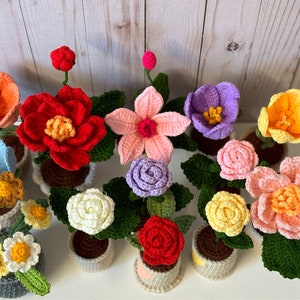 Small Crochet Potted Flowers|Crochet Flowers in Pot|Knitted Flowers|Roses|Daisy|Peony|Clematis|Tulips|Home Decoration|Handmade Gifts