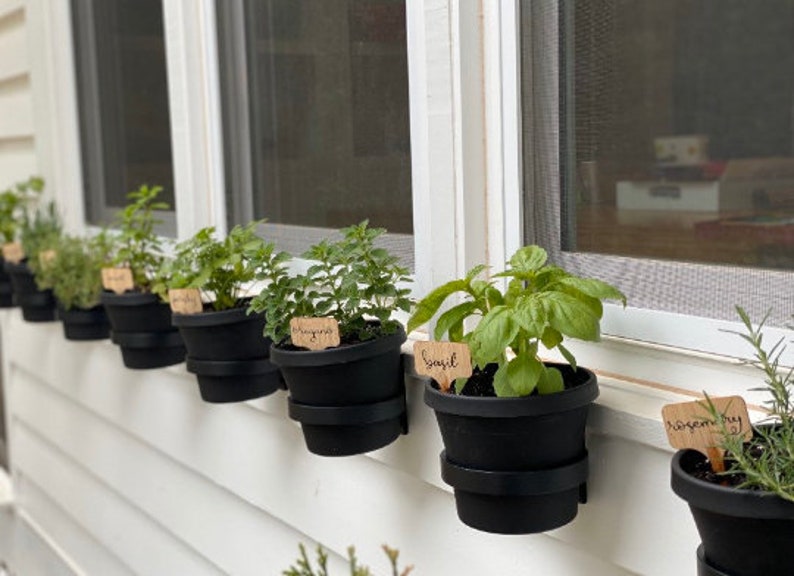 Best herb plant pot holders that mount to the wall