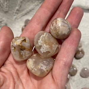 Flower Agate Small Tumbles
