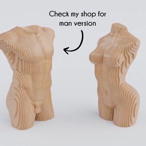 May include: Two wooden sculptures of human torsos, one with a more feminine form and the other with a more masculine form. The sculptures are made of layered wood and have a natural wood finish.