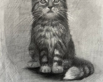 The cutest kitten. Graphite pencil drawing.