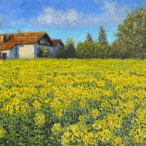 May include: A white farmhouse with a red tile roof sits in a field of yellow wildflowers. The house is surrounded by trees and a blue sky with white clouds.