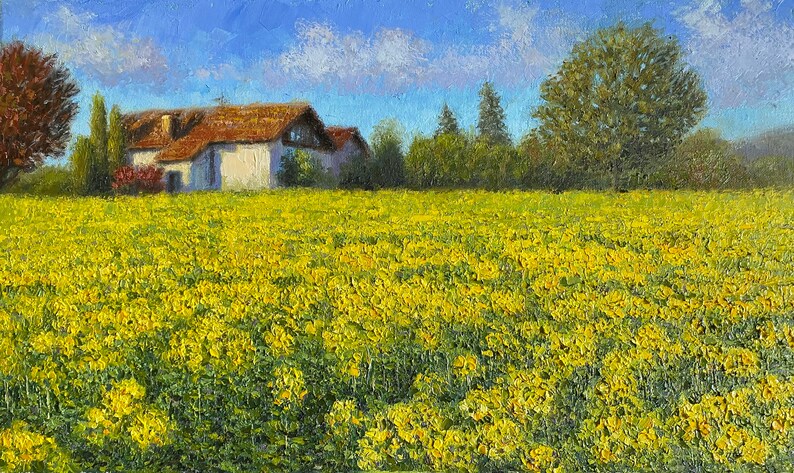 May include: A white farmhouse with a red tile roof sits in a field of yellow wildflowers. The house is surrounded by trees and a blue sky with white clouds.